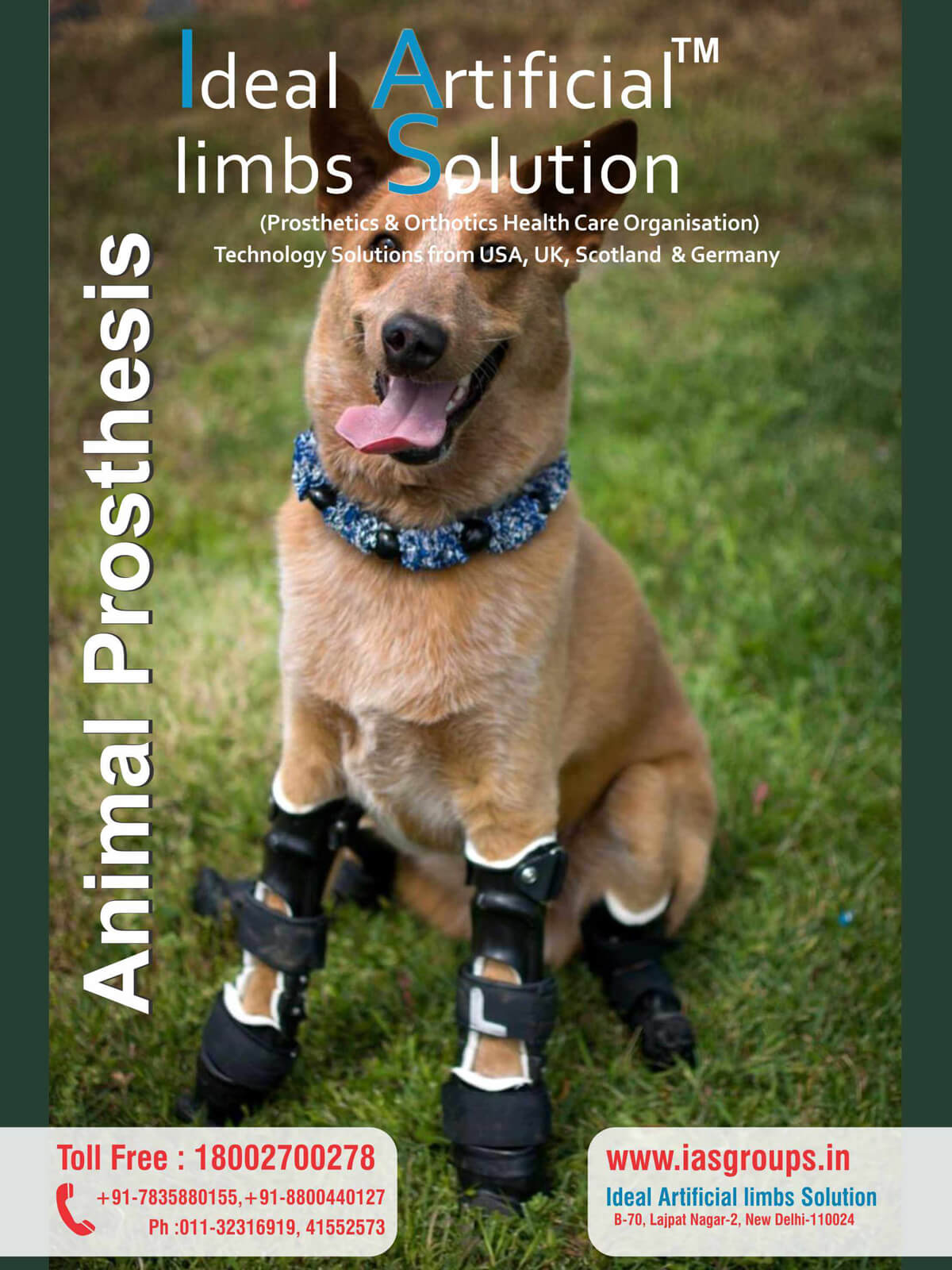 Ideal Artificial Limbs Solutions